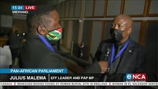 EFF leader Julius Malema speaks on PanAfrican Parliament chaos [upl. by Shaina]