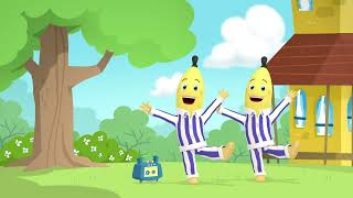 The Banana Wiggle  Bananas in Pyjamas Season 2  Full Episodes  Bananas In Pyjamas [upl. by Arutek]