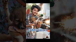 कुत्ते🐶मे मनाया Happy🎆Diwali  comedy diwalicomedy [upl. by Hestia]