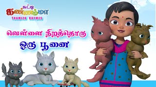 Tamil Kids Cat Song  Vellai Nirathoru Poonai  Chutty Kannamma Tamil Rhymes  Baby Songs [upl. by Tnelc36]