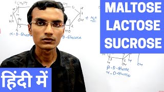 Disaccharides  Maltose Lactose and Sucrose in Hindi [upl. by Atinas499]