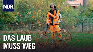 Hochbetrieb im goldenen Herbst  Die Nordreportage  NDR Doku [upl. by Morgenthaler427]