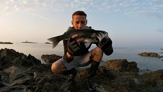 BASS ON PATCHINKO 125 amp COOK UP ON THE ROCKS  SEABASS RISOTTO [upl. by Eidob515]