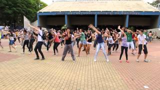 Campinas Archdioceses Flash Mob on the way to WYD Rio2013  Brazil [upl. by Jonette]