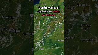 Cuantos vuelos al día hace un avión de Avianca carlosnomada aviacion vueloscolombia [upl. by Lacey]