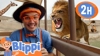 Blippi Explores a Safari Park  BLIPPI  Educational Videos  Moonbug Kids [upl. by Bonaparte]