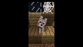 When You Leave Your Minecraft Dog [upl. by Januarius]