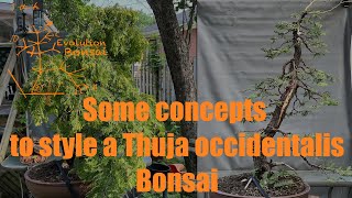 Some concepts to improve your Thuja occidentalis bonsai styling [upl. by Olegnaleahcim]