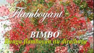 FLAMBOYANT Bimbo [upl. by Nilson]