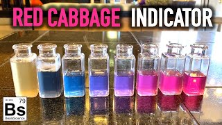 pH Indicator made from Red Cabbage  Acid  Base Science at Home [upl. by Venice422]