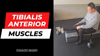 4 Exercises to Strengthen Your Tibialis Anterior Muscle  Coach Baso [upl. by Orville]