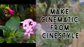 Steps How amp Why to install Cinestyle  Flat Color Profile for Canon Hindi How to make Cinematics [upl. by Novia996]