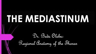 DIVISIONS amp CONTENTS OF THE MEDIASTINUM [upl. by Bledsoe101]