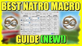 The BEST NATRO MACRO GUIDE In Bee Swarm Simulator 2024 [upl. by Cherise]