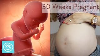 30 Weeks Pregnant What You Need To Know  Channel Mum [upl. by Atihcnoc]