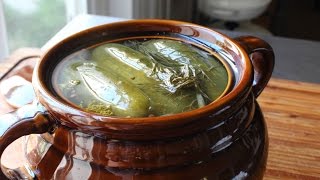 Homemade Dill Pickles  How to Make Naturally Fermented Pickles [upl. by Joselow870]