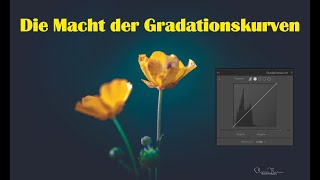 Fotografie  die MACHT der Gradationskurven [upl. by Neils]