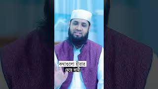 কথাগুলো হীরার চেয়ে দামী। monirulislammazumder islaminbangla islamicpreacher [upl. by Wilhelm]