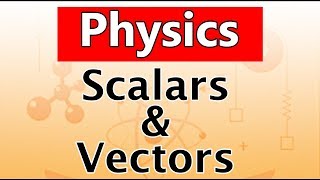 Scalars and Vectors  Physics  Science  Letstute [upl. by Annanhoj210]