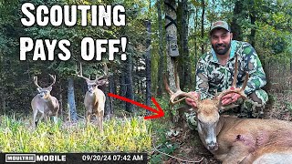 Scouting Pays Off How Moultrie Mobile Helped Me Tag a Big Buck [upl. by Proffitt]