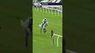 Wonderful horsemanship 👏🏻 horse horseracing racingtv sport britishhorseracing [upl. by Lumbard]