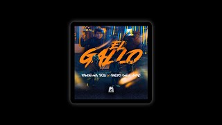 El Gallo  Pandemia 702 x Grupo Diez 4Tro Instrumental [upl. by Burkley403]