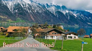 Long trip goes to Iseltwald Beautiful village in Switzerland nature scenicview switzerland [upl. by Ilah]