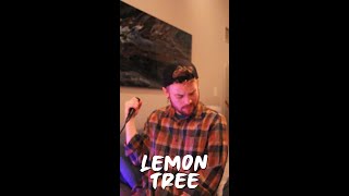 Post Malone  Lemon Tree Fake Feature [upl. by Sutherland]