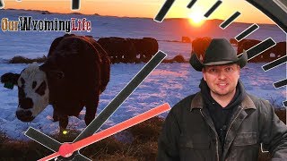 A Day in the Life  Wyoming Rancher amp Youtuber [upl. by Kaela]