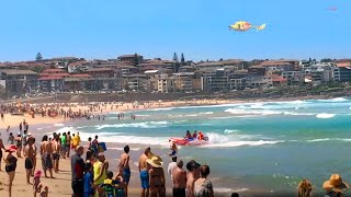 Shark Alarm at Maroubra Beach Sydney [upl. by Shermy]