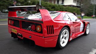 StreetLegal Ferrari F40 LM with Straight Pipes  Start Up Revs Power Launch amp More [upl. by Goeger]