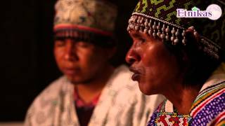 Magical Ayahuasca Songs  Ikaros Etnikas [upl. by Roland]