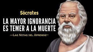 Palabras de Sócrates que te ponen la piel de GALLINA  Las Notas del Aprendiz [upl. by Ybab]