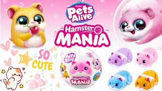 Zuru Pets Alive Hamstermania Interactive Toy Unboxing amp Playthrough [upl. by Zapot]