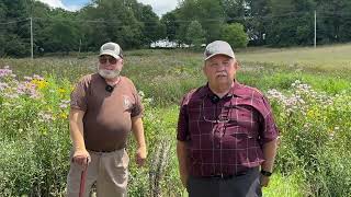 Bobwhite Quail Released [upl. by Korrie540]