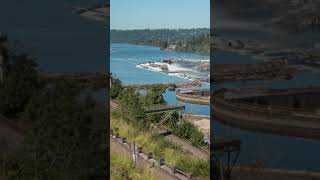 Willamette Falls Timelapse Timelapse Hyperlapse [upl. by Aisad950]