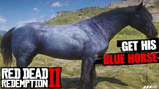 Rare Horse Nokota Blue Roan Location Guaranteed Method Early Chapter 2  Red Dead Redemption 2 [upl. by Isa]