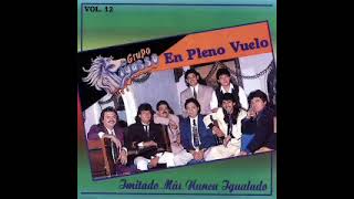 Grupo Pegasso Mix Vol 12 MitadesEn Pleno Vuelo Mixed By Moromayo Dj [upl. by Anzovin928]