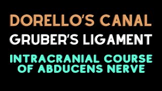 Intracranial course of abducent nerve Dorellos canal Grubers ligament [upl. by Ahsenit]