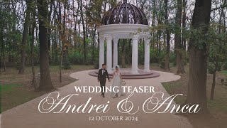 Cinematic Wedding Teaser 2024 [upl. by Greabe]