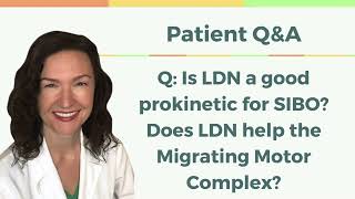 QampA Is LDN a Good Prokinetic for SIBO Does LDN Help the MMC [upl. by Howund]