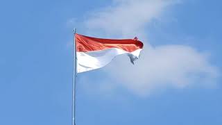 BENDERA MERAH PUTIH BERKIBAR FULL HD [upl. by Adnohral]