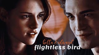 Bella amp Edward  Flightless Bird American Mouth [upl. by Aneetsyrk589]