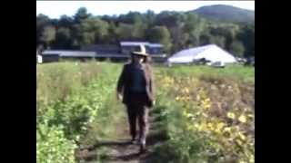 Mark Mulcahy  In Pursuit of your Happiness Official Video [upl. by Deevan]