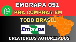 ONDE COMPRAR EMBRAPA 051 [upl. by Lanni]