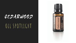 Cedarwood  doTERRA Essential Oil Spotlight [upl. by Verna]