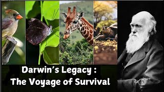 Darwins theory of Evolution The Voyage of Survival [upl. by Runstadler]