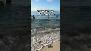 Today Playa Del Carmen Sargasso travel adventure explore tourism popularsong [upl. by Holmen456]