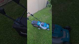 Makita 36v 460mm Lawnmower on My Putting Green [upl. by Springer]