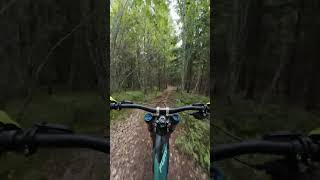 Riding down Frognerseteren 🚴 music newmusic countrymusic newsong norway bike downhill [upl. by Fineberg]